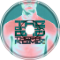 The Bitter End (ThePal Remix)