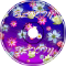 blooom