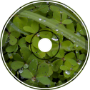 Clover Tears