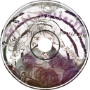 spiral__butterfly