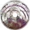 spiral__butterfly