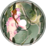 TOXIK