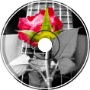 AIM - Still Waiting