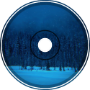NSE - Snow