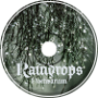 Raindrops