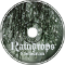 Raindrops