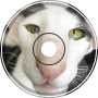 bootsandcatsandbootsandcatS