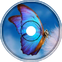 Butterflies world _ _ eurEDM
