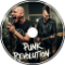 Punk Revolution