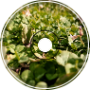 Warm Living Soil