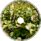 Warm Living Soil