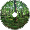 Tranquil Labyrinth