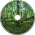 Tranquil Labyrinth