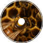 ParaDox