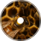 ParaDox