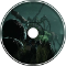 arachnogenesis