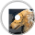 Dog Feces - NGUAC 2025