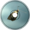 Town Dustwing