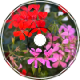 Zugmusik 3