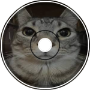 Checkrings