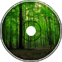 forest, nature