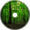 forest, nature