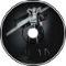 Screaming Harmony - 2025