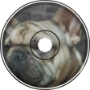 Chitora - Snout