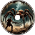 Battle With A Poisonous Spider
