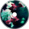 ku