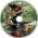 Dragon-Pirate