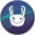 Orbit