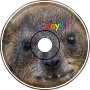 Hyrax Party