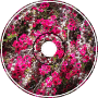 Konjac