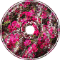 Konjac
