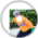 MERMAID MAN