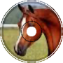 This song is about horse race