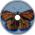 Metamorpha