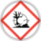clp
