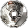 All cats are grey in the dark