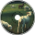 𝙨𝙝𝙚𝙣𝙖𝙣𝙞𝙜𝙤𝙖𝙩𝙨 &lt;loop&gt;