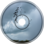 Crow Dark Clouds