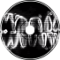 PARADOXUM