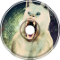 monkeywolf
