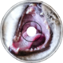 bengos