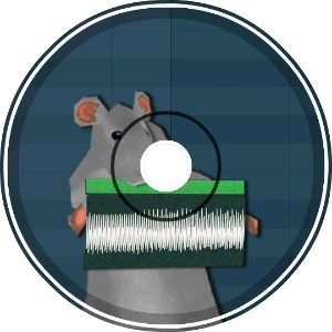 rat beat