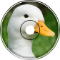 Duck Duck Goose