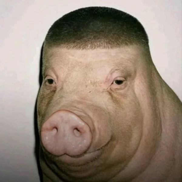 eat it like a porkchop