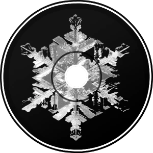 Snow Soldier