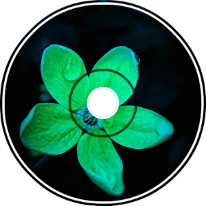 Dimrain47's Lost Song